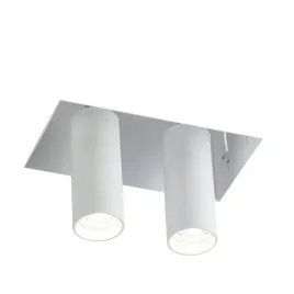 lampa-oprawa-wpuszczana-regulowana-podwojna-biala-tuby-reflektory-shilo