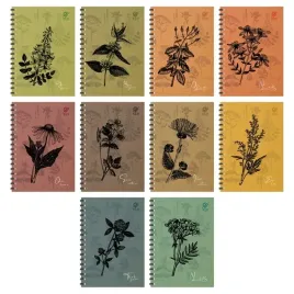 5x-kolozeszyt-a4-80-kratka-spirala-gruba-podkladka