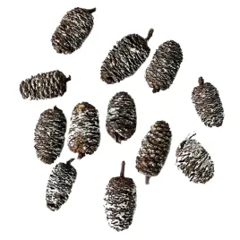 mini-szyszki-bielone-3-45-cm-12-szt