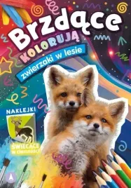 brzdac-koloruje-zwierzaki-w-lesie-kolorowanka-naklejki-swiecace-w-ciemnosc