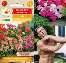 pelargonia-rabatowa-mix-kolorow-nasiona
