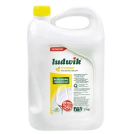 plyn-do-mycia-naczyn-cytryna-5kg-ludwik