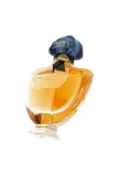 guerlain-shalimar-edp-50ml-grupa-zapachowa-orientalna
