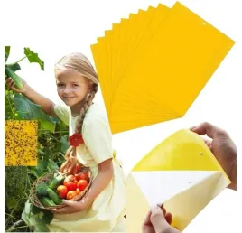 zolte-tablice-lepowe-na-ziemiorki-10-szt-dwustronny-lep-biodegradowalne