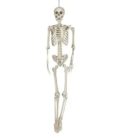 szkielet-xxl-kosciotrup-160-cm-ruchome-czesci-szkieleto-dekoracja-halloween