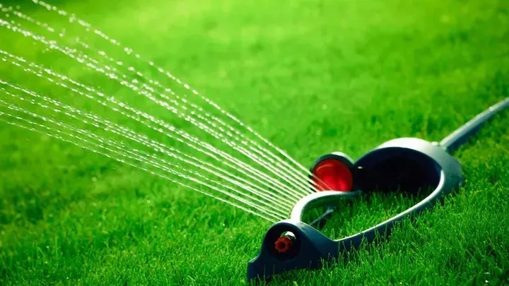 chwastox-complex-260-ew-1l