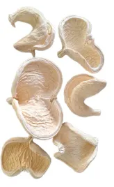 badam-wybiealany-10-13-cm-serca-6-sztuk-susz-egzotyczny-badamy-bielony