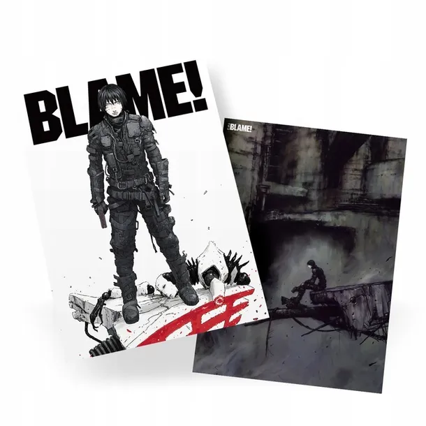 plakat-blame-do-wyboru