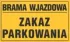 Kolor / wzór produktu #26