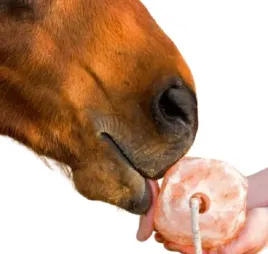 sol-himalajska-lizawka-solna-dla-koni-bydla-zwierzat-krysztaly-soli