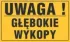 Kolor / wzór produktu #36