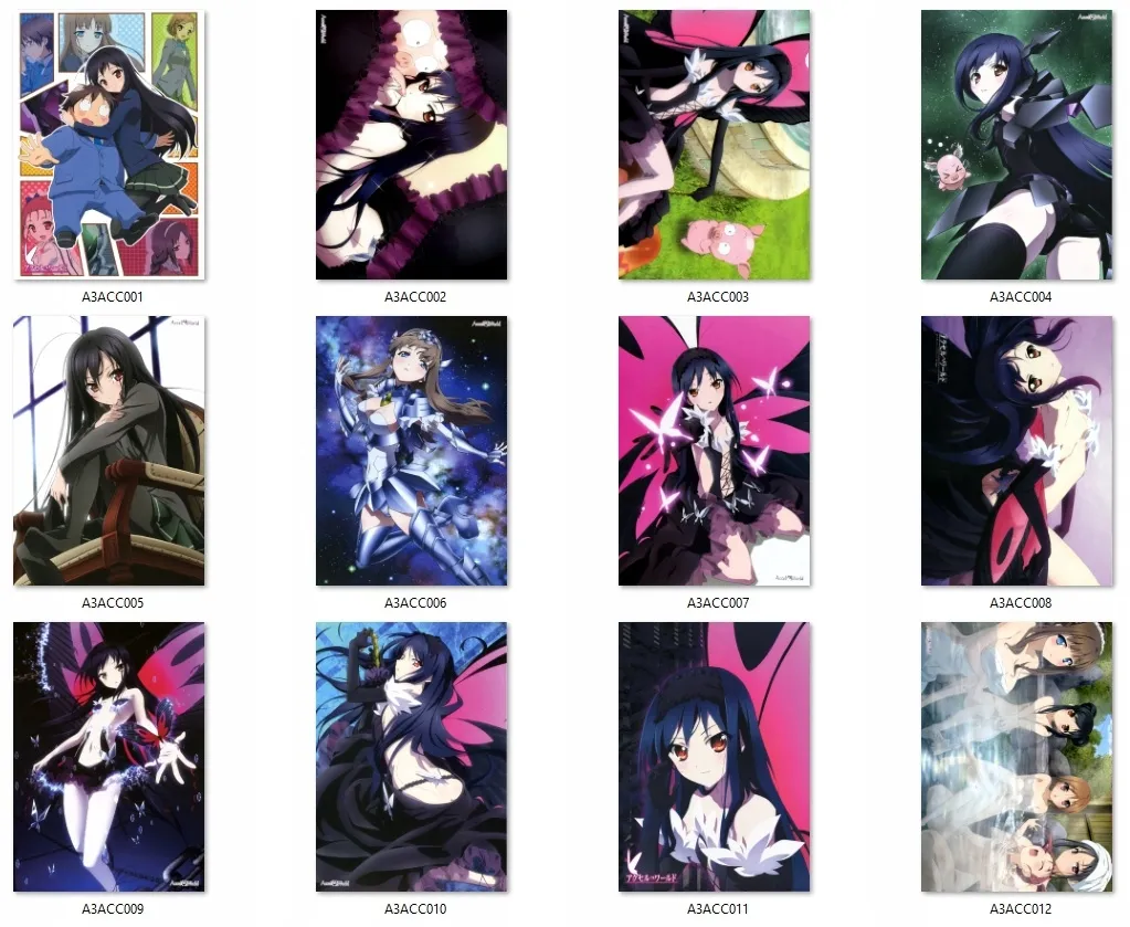 plakat-accel-world-do-wyboru
