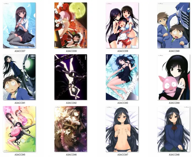 plakat-accel-world-do-wyboru-stan-opakowania-oryginalne