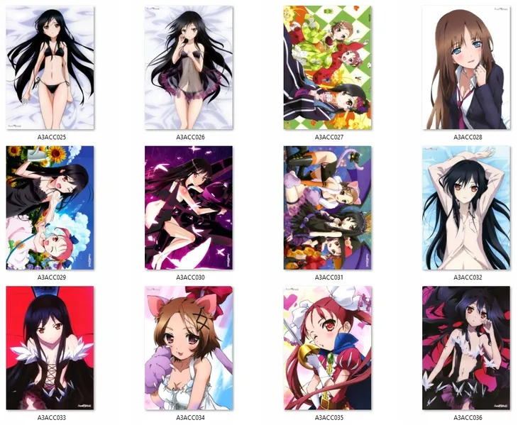 plakat-accel-world-do-wyboru-stan-nowy-stan-opakowania-oryginalne