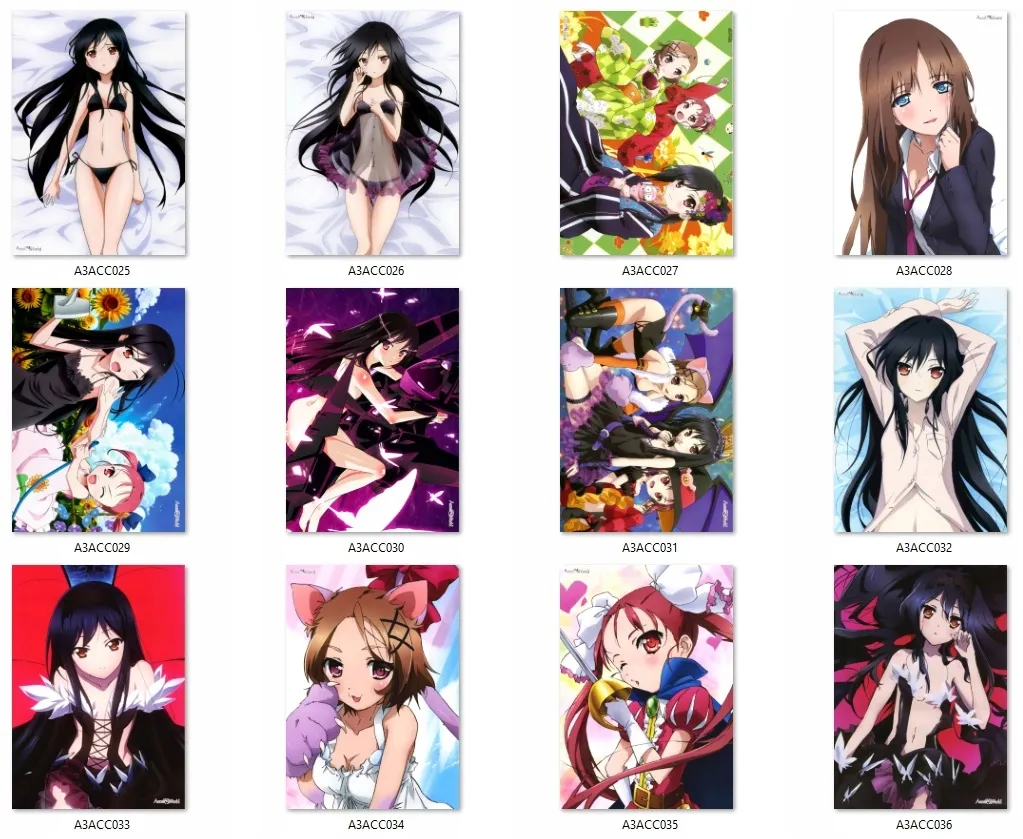 plakat-accel-world-do-wyboru