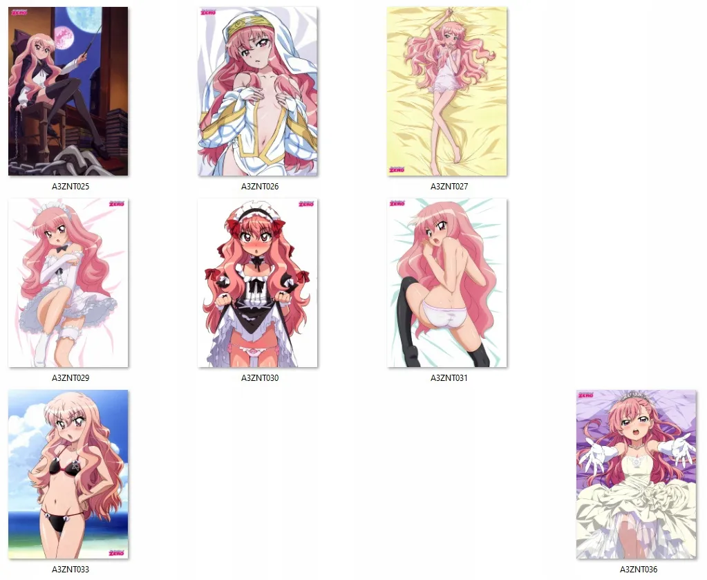 plakat-zero-no-tsukaima-do-wyboru