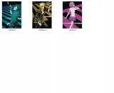 plakat-tokyo-ravens-do-wyboru-stan-opakowania-oryginalne