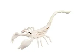 szkielet-skorpiona-szkielet-skorpiona-33-x-14-x-8-cm