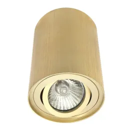 zloty-spot-natynkowy-led-ruchomy-na-korytarz-hol-lampa-na-gwint-gu10