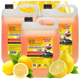 plyn-do-spryskiwaczy-letni-szyb-owady-mycia-zapachowy-moje-auto-5l-x3