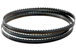metabo-brzeszczot-tasmowy-2225-x-9-x-036-mm-4-tpi-0909060273