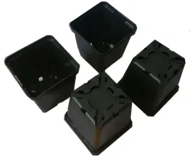 doniczki-produkcyjne-p9-50szt-nowe-9x9-cm-na-rozsady
