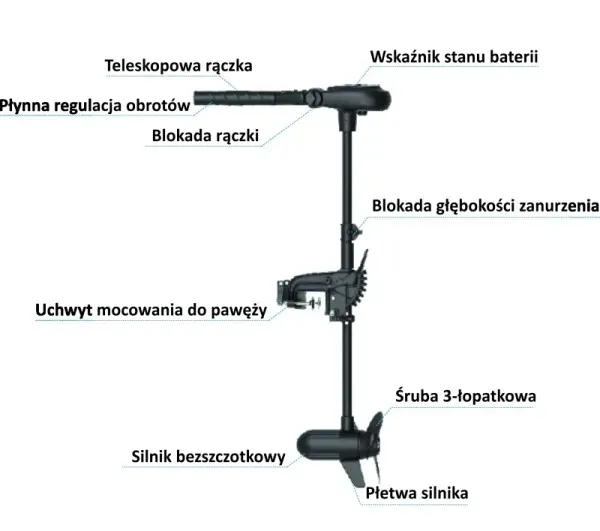 silnik-elektryczny-haswing-protruar-1-0-65-lbs-max