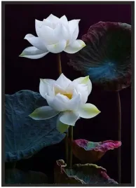 plakat-bez-ramy-a5-13x18-duzo-wzorow-kwiaty-27