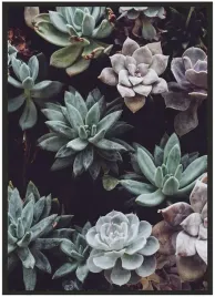 plakat-bez-ramy-a3-30x40-duzo-wzorow-rosliny-08