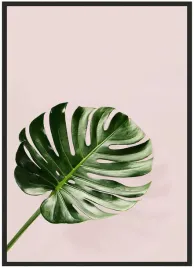 plakat-bez-ramy-a3-30x40-duzo-wzorow-monstera-02