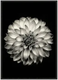 plakat-bez-ramy-a3-30x40-duzo-wzorow-kwiaty-30