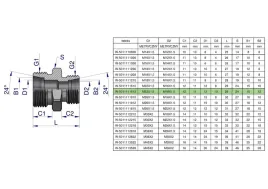 zlaczka-hydrauliczna-redukcyjna-metryczna-bb-22-18-m22x1-5-15l-m18x1-5-1