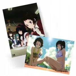plakat-hyouka-do-wyboru