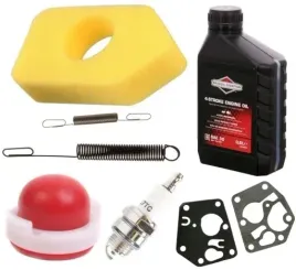 briggs-filtr-membrany-pompka-sprezyny-swieca-olej-bands-sae30-06l-zestaw