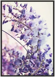 plakat-bez-ramy-a3-30x40-duzo-wzorow-lawenda-01