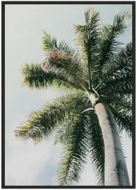 plakat-bez-ramy-a3-30x40-duzo-wzorow-palma-01