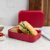 amuse-lunchbox-sredni-ruby-material-dominujacy-tworzywo-sztuczne