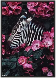 plakat-bez-ramy-a4-21x30-zwierzeta-17