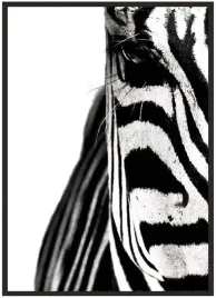 plakat-bez-ramy-a5-13x18-zwierzeta-08