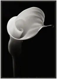 plakat-bez-ramy-a5-13x18-duzo-wzorow-kwiaty-49