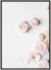 plakat-bez-ramy-a5-13x18-duzo-wzorow-kwiaty-47