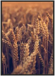 plakat-bez-ramy-a3-30x40-duzo-wzorow-rosliny-23