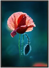 plakat-bez-ramy-a5-13x18-duzo-wzorow-kwiaty-45