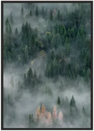 plakat-bez-ramy-a3-30x40-duzo-wzorow-las-06