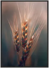 plakat-bez-ramy-a3-30x40-duzo-wzorow-rosliny-25