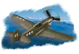 hobby-boss-80252-p-40n-warhawk-1-72