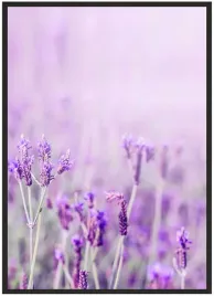 plakat-bez-ramy-a5-13x18-duzo-wzorow-lawenda-02