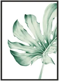 plakat-bez-ramy-a5-13x18-duzo-wzorow-monstera-07