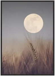 plakat-bez-ramy-a3-30x40-duzo-wzorow-rosliny-28