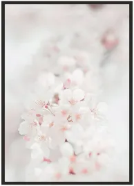 plakat-a4-21x30-w-ramie-kwiat-wisni-03